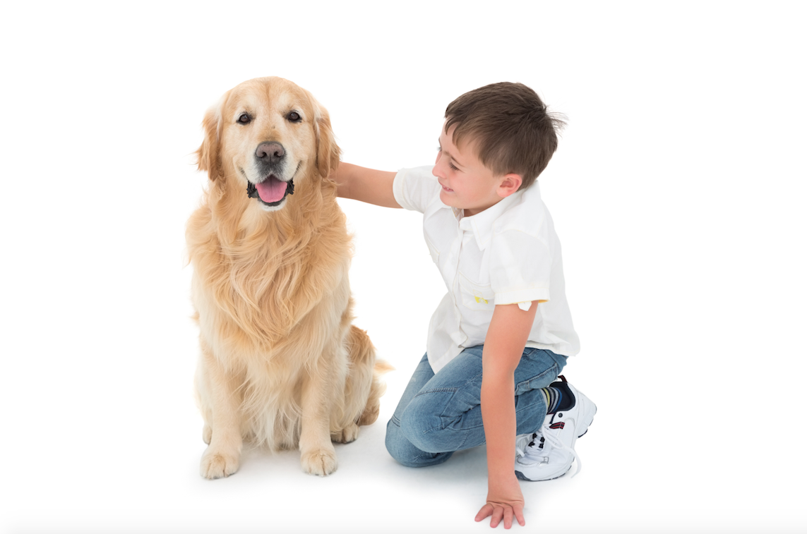 kidmunicate's tweet photo. Canines can do some things better than humans can do. Autism Service Dogs. #autism #slpeeps http://t.co/0QrjPHtZx5 http://t.co/5jk5y8HjgO