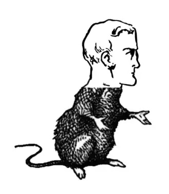 pconstants's tweet photo. Neanderthals help us to study recent human evolution. And also to create humanised mice #eshg15 #eshg2015 #Pääbo http://t.co/6Z4x4iGtQ5