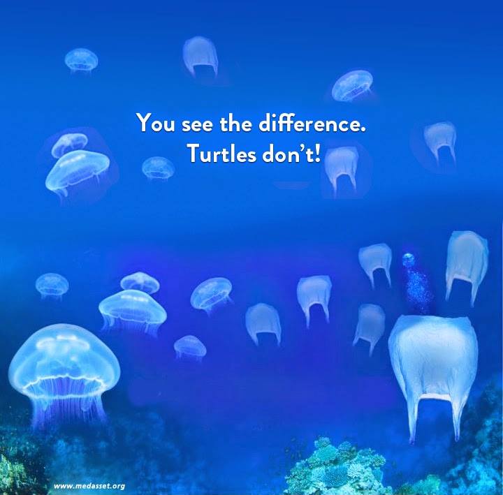 SpiralsGroup's tweet photo. Be Responsible... #Oman #beach #bbq #cleanup #muscat #turtles #environment #wastemanagement http://t.co/Nd5kC15KAm