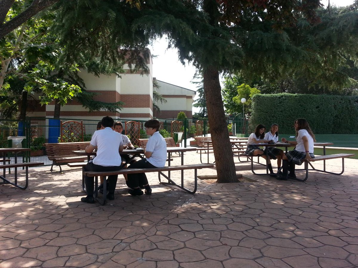 DowlenHolly's tweet image. #Readinglesson #Year7 #lovebooks #webetannin