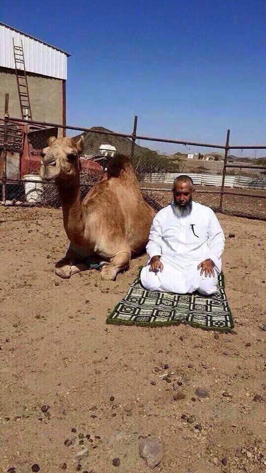 ALLAH C. C herşeye kadirdir...