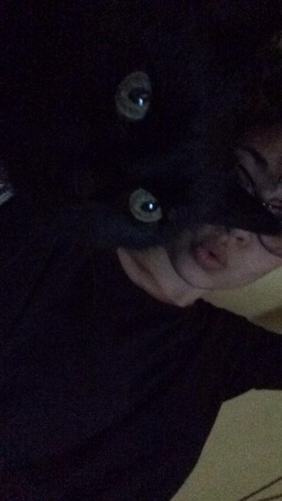 EvaK9's tweet photo. #internetbestfriendday 😻 http://t.co/ZxwD1vHXLg