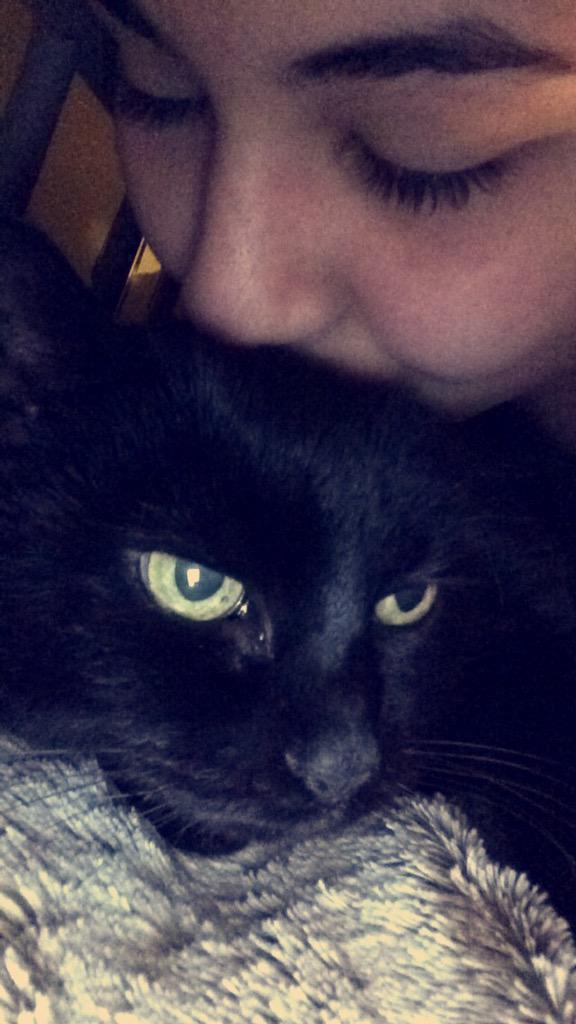 EvaK9's tweet photo. #internetbestfriendday 😻 http://t.co/ZxwD1vHXLg