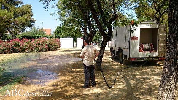 abcdesevilla's tweet image. Un camión cisterna para salvar el poco verde que queda en el parque Amate ow.ly/O3zt1 | #Sevillahoy