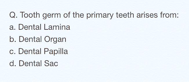 AlhatiMaram's tweet photo. Do you still remember the answer? #DentalQuestion http://t.co/auJBjmiqRq