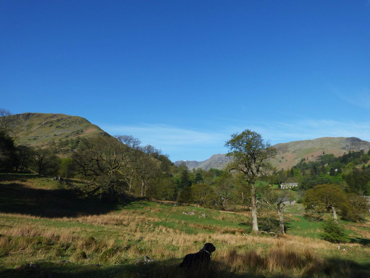 helvellyn's tweet photo. #morgan enjoying a better walking route #stsunday #patterdale #lakedistrict http://t.co/1gnf6FCUcc