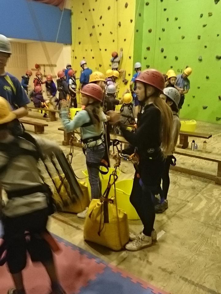 Elizabeth Salt tweet media