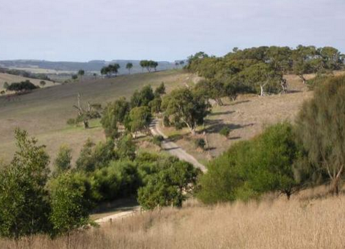 Keith Conlon tweet media