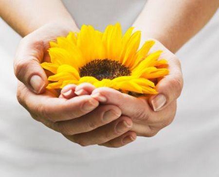 bbgalover's tweet photo. E poi sei al lavoro.... E la radio canta!!!!
🎶🎵COME UN GIRASOLE MI APRIRÒ PER TE.....🎼🎵
@Giorgia http://t.co/SarD3DxSxp