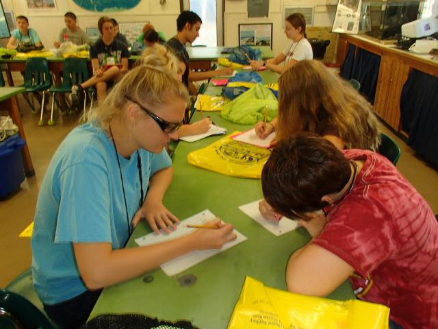 MarineScienceStation tweet media