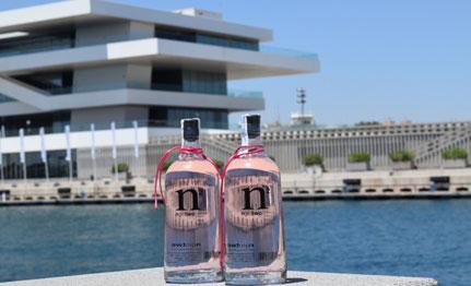 La ginebra 'rosa' del Mediterráneo: <a href="/NGINVLC/">N GIN VLC</a> 2. buff.ly/1F5Cous