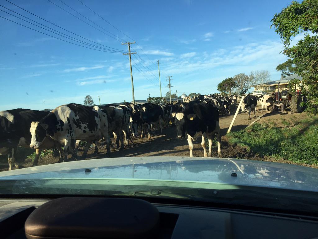 TWP_Aaron's tweet photo. Sometimes in my Job you just have to pull over and let the traffic past! #Legendairy http://t.co/ZDdbioVsf8