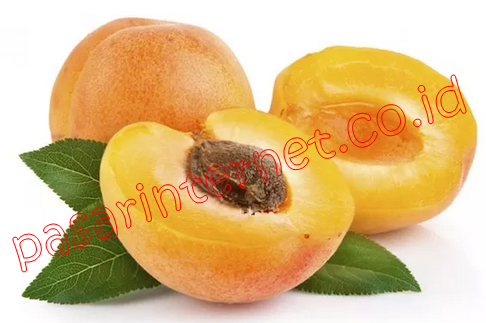 MANFAAT DAN KHASIAT BUAH APRIKOT