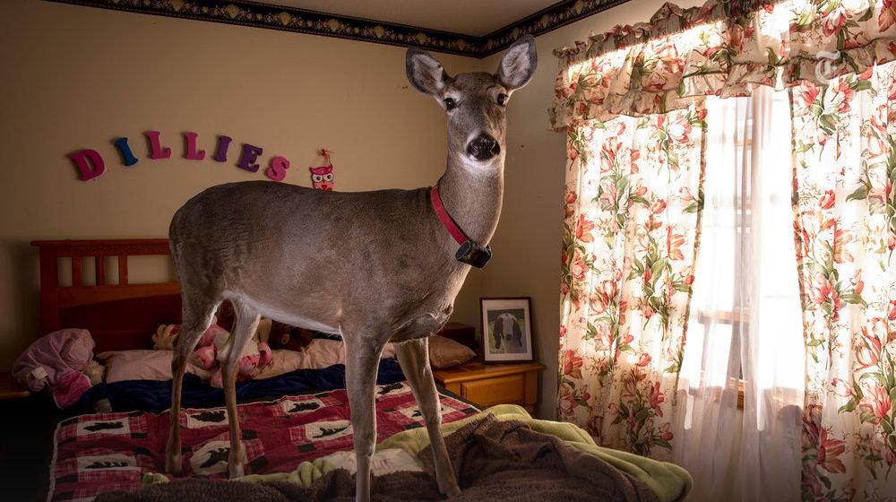 "You don’t have too many second chances.” <a href="/vincentjmusi/">vincent j musi</a> in conversation with <a href="/heislerphoto/">Todd Heisler</a> nyti.ms/1GotUnR