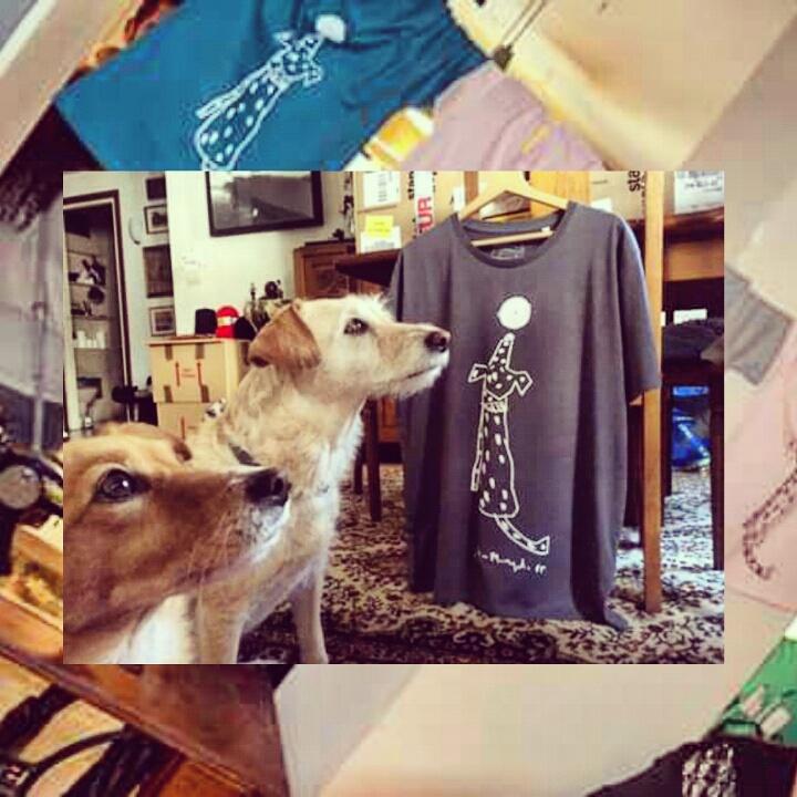 Maruxa_Rio's tweet photo. Estarán posando para los próximos diseños de @InfoTitamina ??💚🐶 cada € destinado a @ADASNPerrikus #Ofelia #Fina http://t.co/mWuwOz07aK