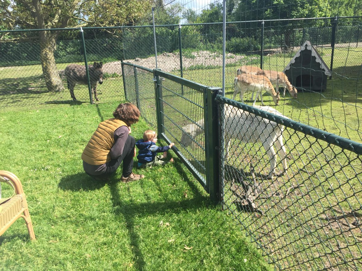 Ijsboerderij Labora leuk voor elke leeftijd! ijsboerderijlabora.nl