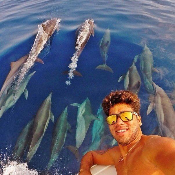 Worldbestselfie's tweet photo. #Sea #Dolphins #Selfie #goldeneye :) http://t.co/XcyDXHzYkT