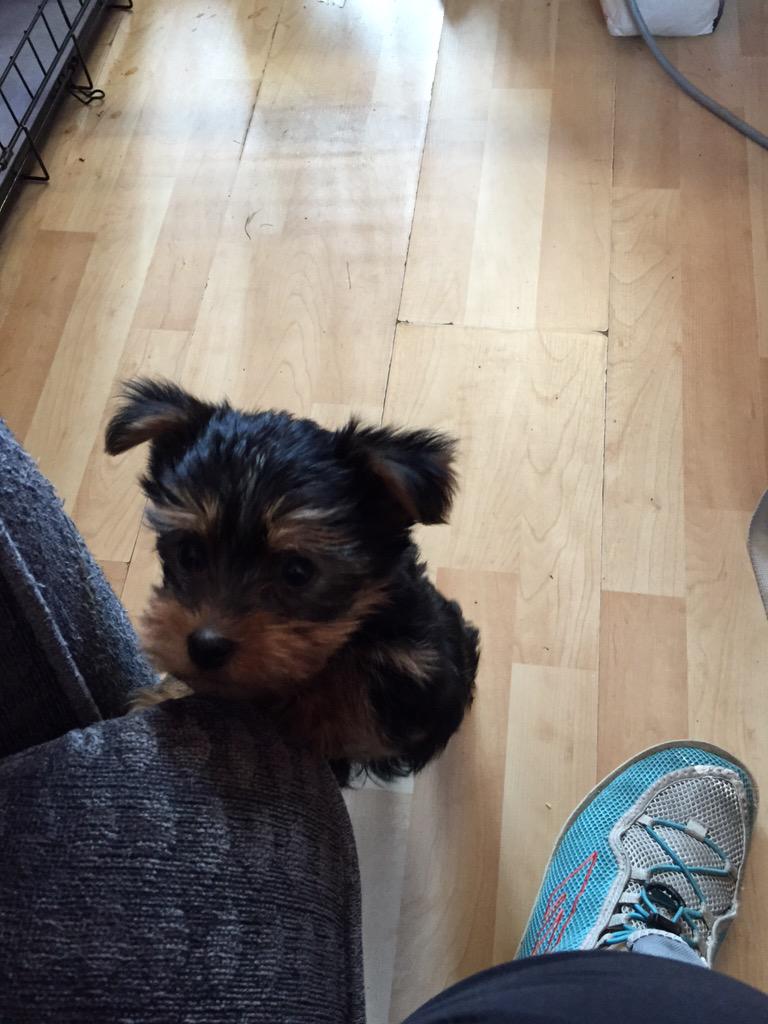 Qhuinn (@defectedtraine1) on Twitter photo 