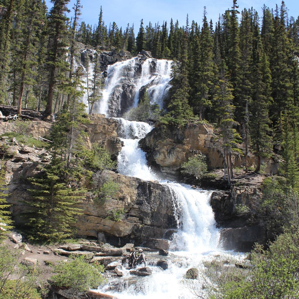 TravelAlberta's tweet photo. RT @globalgrasshopr: Tangle Falls in Jasper National Park - #MyJasper #KLMtoAlberta #TangleFalls @KLM_UK @JasperNP http://t.co/b7pbZt8UYj