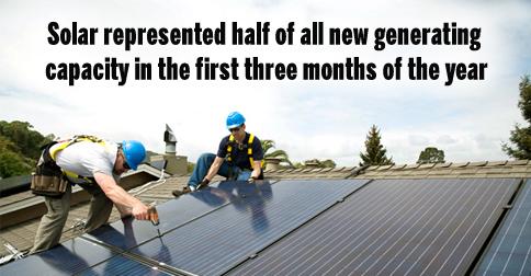 EcoWatch tweet media