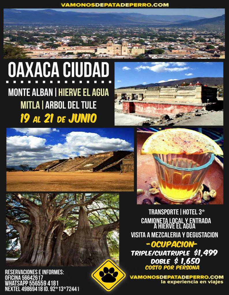 <a href="/En_BenitoJ/">Benito Juárez</a> RT #Viaje a #Oaxaca #HierveElAgua #MonteAlban etc
19 al 21 julio
Transporte+hotel $1490
TEL 56642617