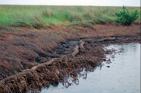 Louisiana cut the cord &amp; stop helping big oil companies #oilspill #restorelanow  theadvocate.com/news/12495324-…