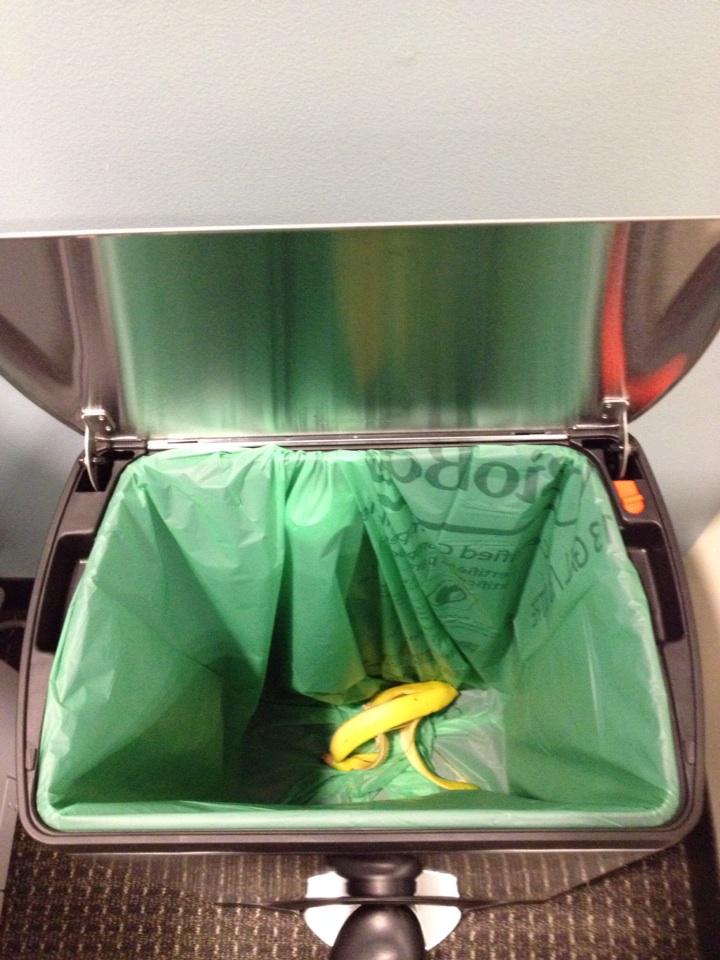 Babson SFS tweet media