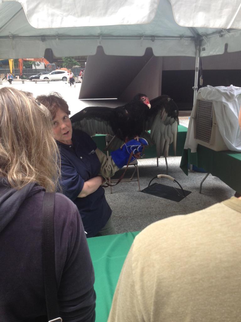 FPDCC's tweet photo. Our animals are ready to say hello! At Daley Plaza until 2. http://t.co/YqfqydxNn9