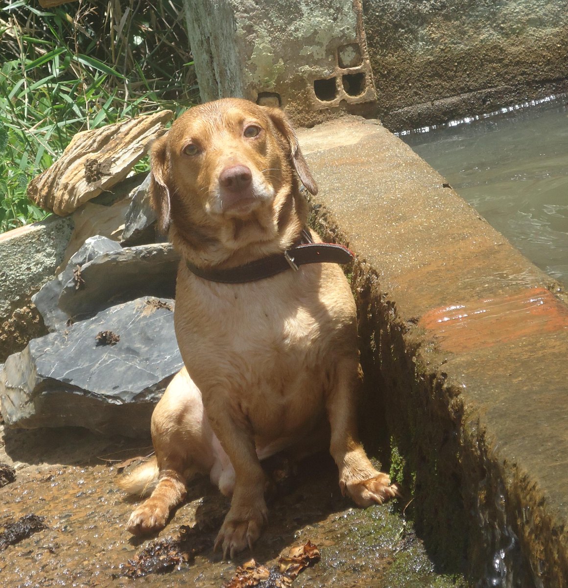 eusimonique's tweet image. #balanco meu pão