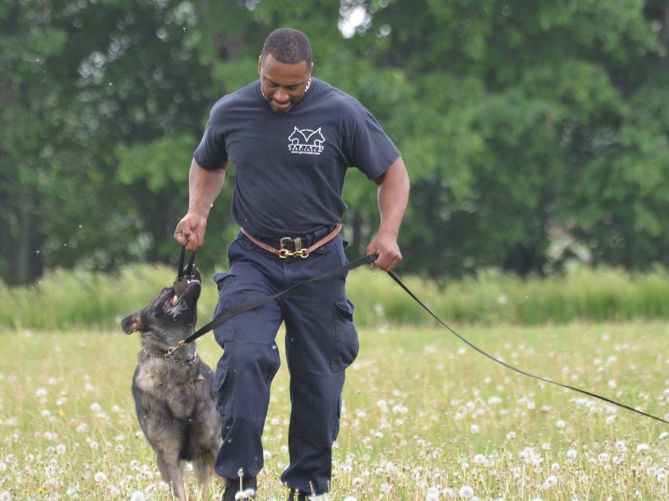 Gemini K9 (GeminiK9) Twitter