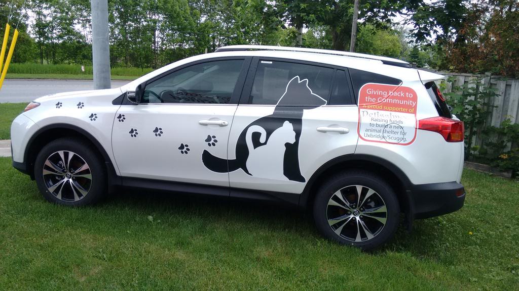 WhitbyToyota's tweet photo. Thanks @Petissimo2014 for such a wonderful event proud to be part of it! http://t.co/RRlOd2z4IK