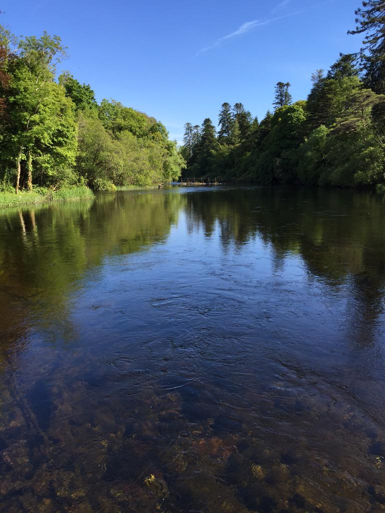 johnthomas32's tweet image. Not a bad way to spend the Birthday! @M_McGuinness_SF you would love this #fishing