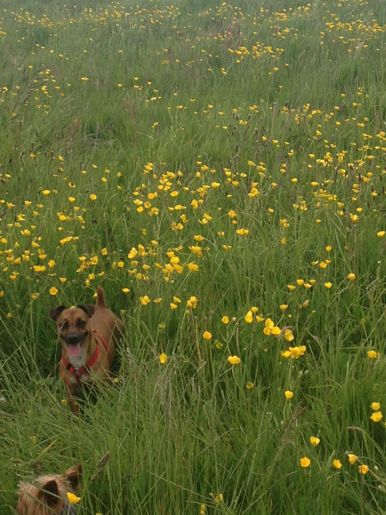 AncTam's tweet image. 