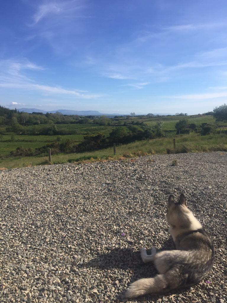 IrishMickOg's tweet photo. Love these warm sunny evenings, peace and quiet!! #Donegal #Sunshine #bruckless http://t.co/kWolQirPec