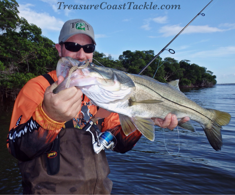 TCoastTackle's tweet photo. When #snook are chasing bait #fish,the #xswim is our favorite bait!
http://t.co/xcWJetv2ik
#monster3x #teamsunsect http://t.co/9NqDZTHOSi
