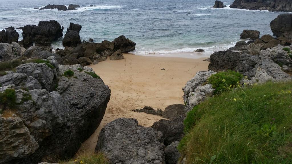 ireneclavr23's tweet photo. Alegría para mis ojos. Ojalá allí al rico sólito🌞🌴 http://t.co/jdB4ZnrnJG