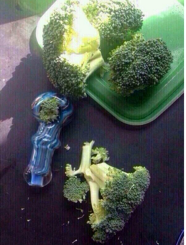 ShitLifeTips's tweet image. Walked into my sons room and found him smoking marijuana. Grounded him for 420 days.