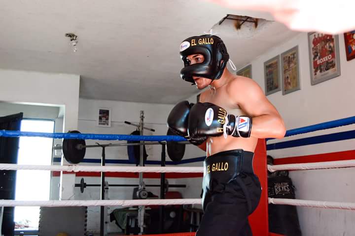 BoxLatinSports's tweet photo. Sabían que el campeón @GalloEstradaOfi comenzó a entrenar a los 9 años, y ganó 4 oros en olimpiadas nacionales. http://t.co/6YgfMPoXon