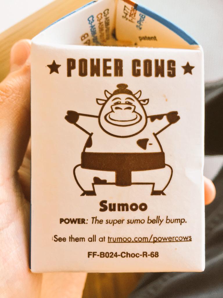 thomasisjer's tweet image. "They" told me he wasn't real, and to give up my silly dream.But after 5 seconds of dedicated search.... It's SUMOO 🐮