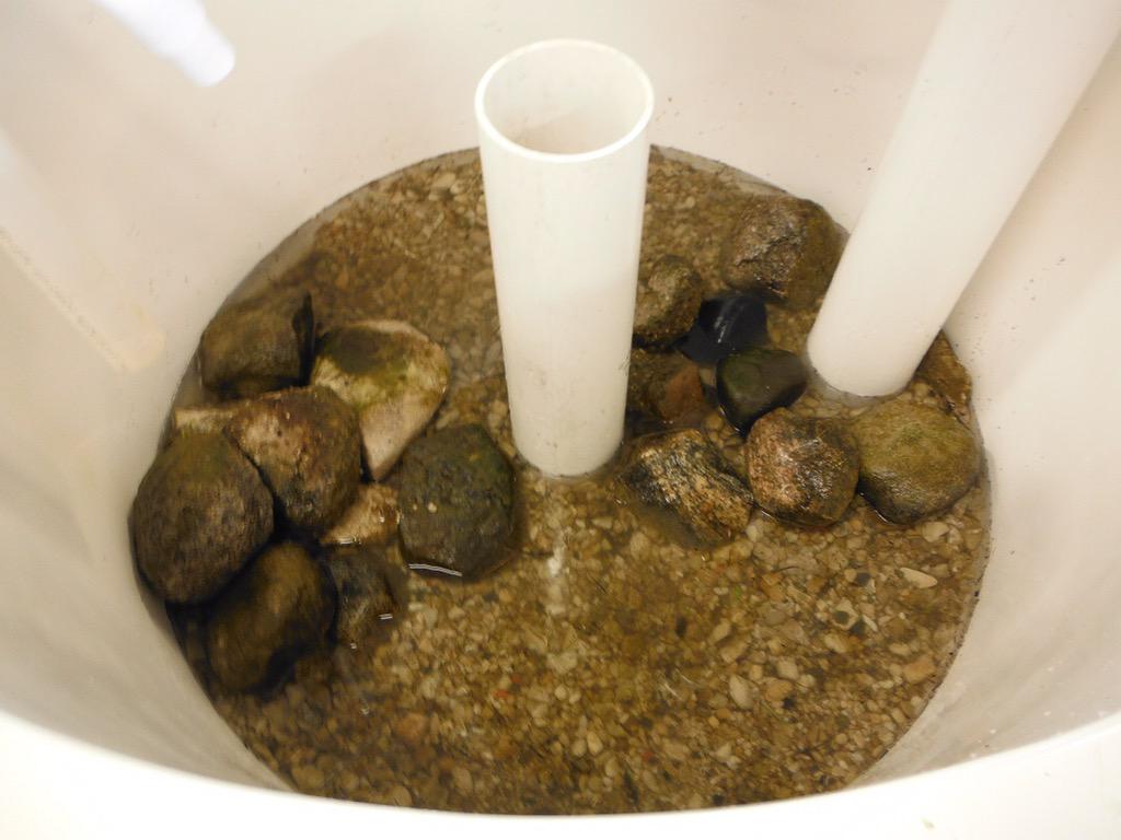 SheddResearch's tweet photo. #GreatLakes #InvasionMeltdown study 2/3 @mgglon & Shedd's Dr.Larson set up mesocosms @CMUniversity biostation! #cmubs http://t.co/FL9Lx4vqq4