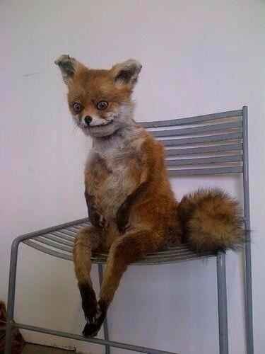 AleHGNutricion's tweet photo. Yo en el IGSS #KilllMe http://t.co/G5XVgH9BWq