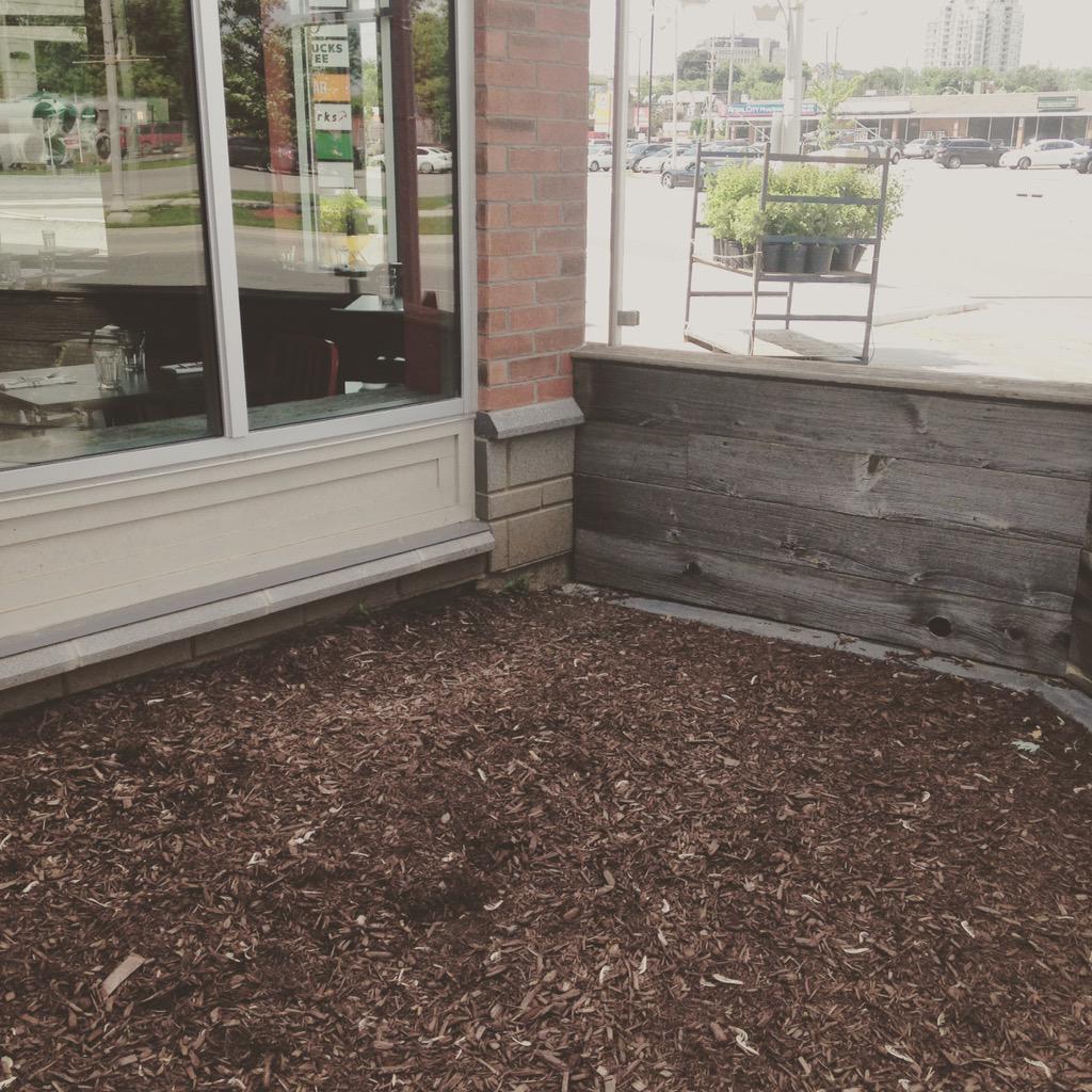BreadBar_Guelph's tweet photo. Our Apple Tree "Russel"went missing on Saturday Night. Reward for his safe return: Large Pizza on us #bringrusselhome http://t.co/9Bjppb8EKe