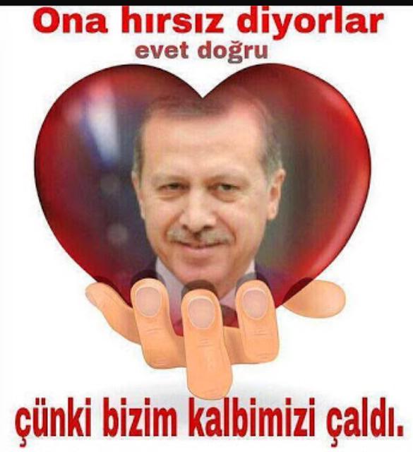 ZHRCL's tweet photo. http://t.co/3LoV3S0e5w