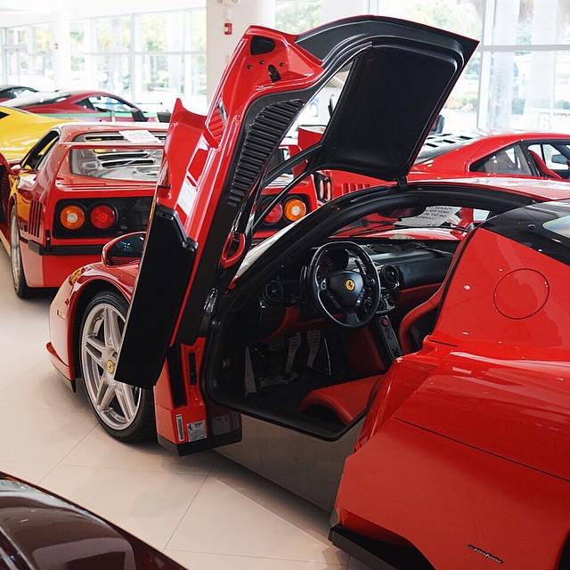 OnlyFerrariPics's tweet photo. Enzo .... #enzo #f40 #ferrarimaseratifl #experienceautogroup ... photo by @lordmcdonnell by ferrarimaseratifl http://t.co/7dxGt8cG5a