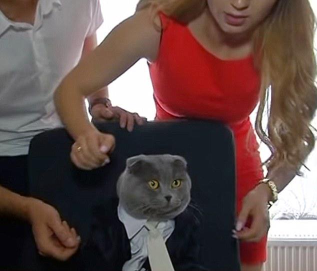 DailyMail tweet picture
