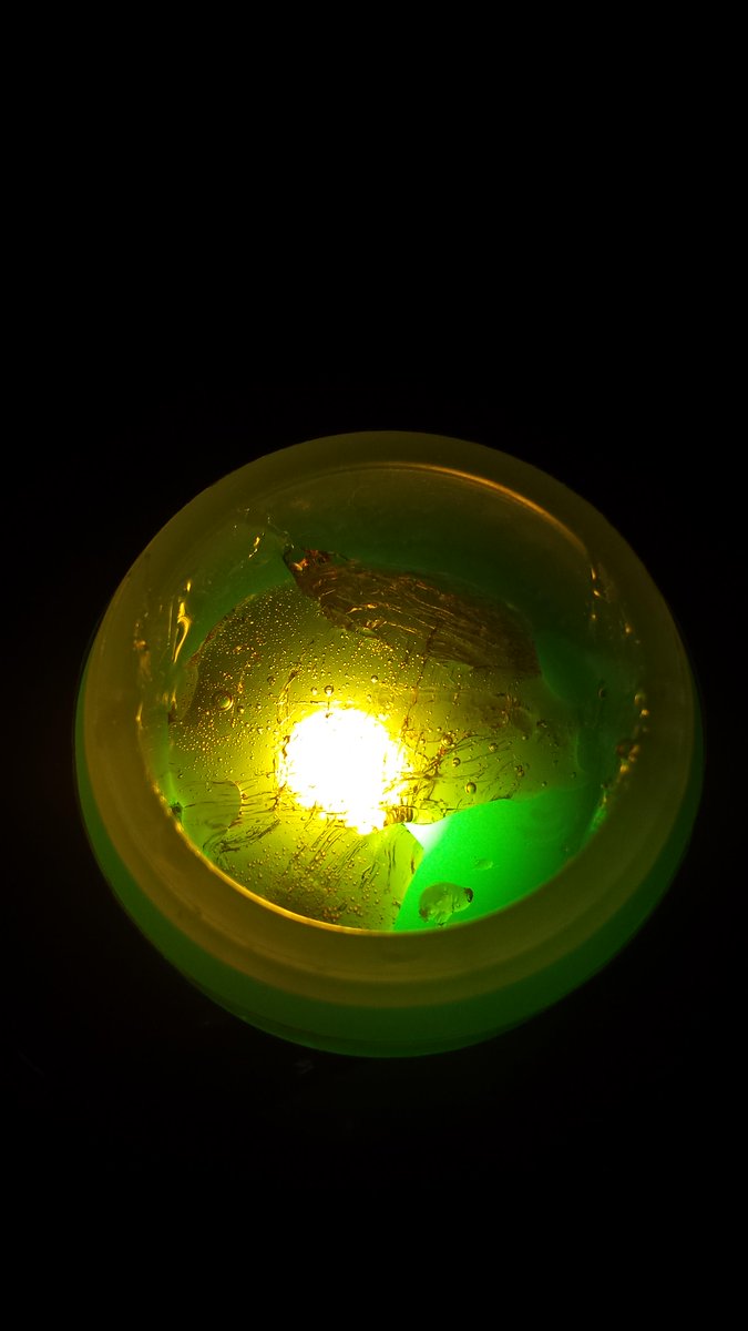 MerchOnTheBeat's tweet photo. True Art the clarity is insane #FireShatter @ThaDabGodLoc @MichaelDABtree @mmjbillboard http://t.co/5dNJH8aZni