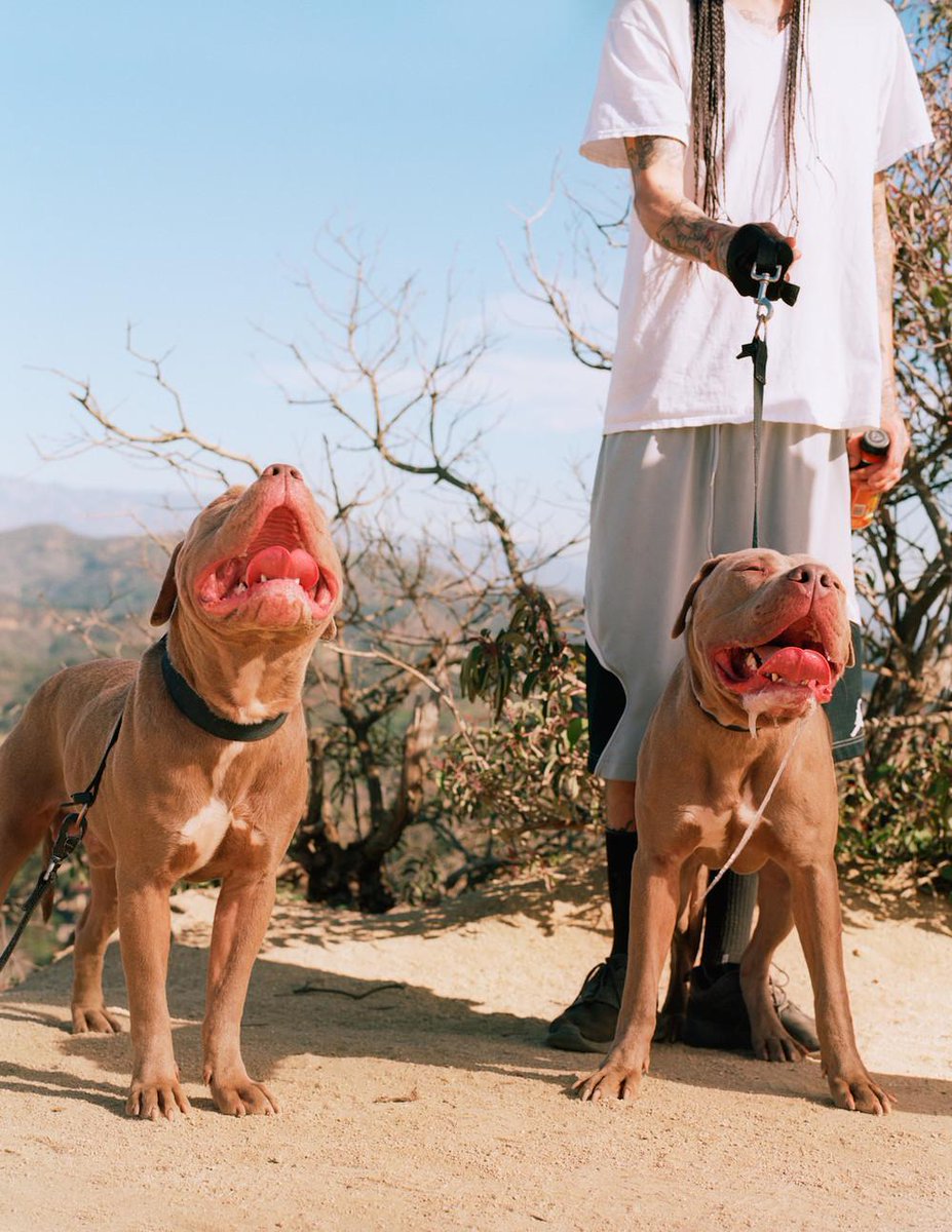 VICE's tweet photo. Photographing the incredible melting pot of LA's Runyon Canyon http://t.co/gOcBXTlySK http://t.co/LAibnxEPq9