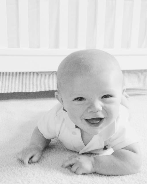 hank at four months. …mplyeverythingbeautiful.wordpress.com/2015/06/09/han…