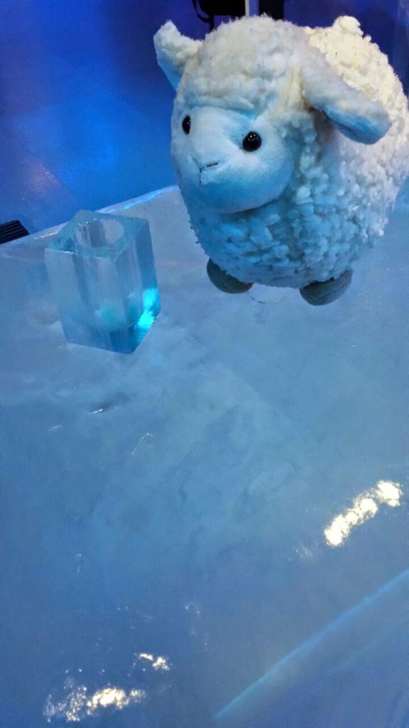 yammthelamb's tweet photo. @EllieandEdmond @teddy_trips Here I am in the IceHotel! #WarmWool http://t.co/MbkqAlqAYI