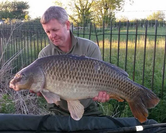 impactbaits's tweet image. 